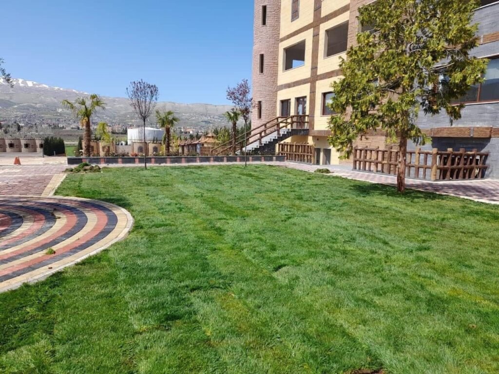 العشب الطبيعي في الرياض